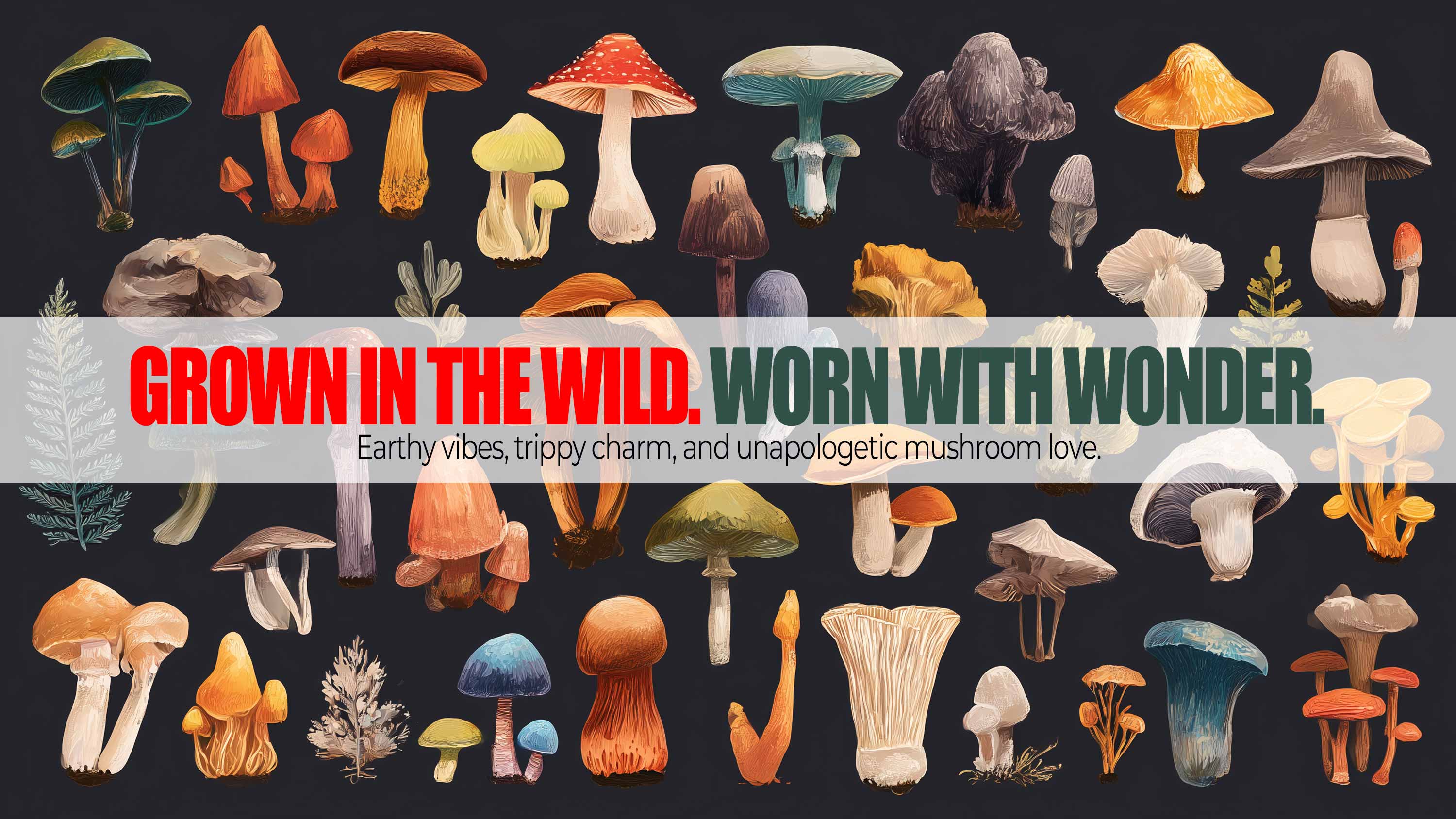 FUNGI CLUB