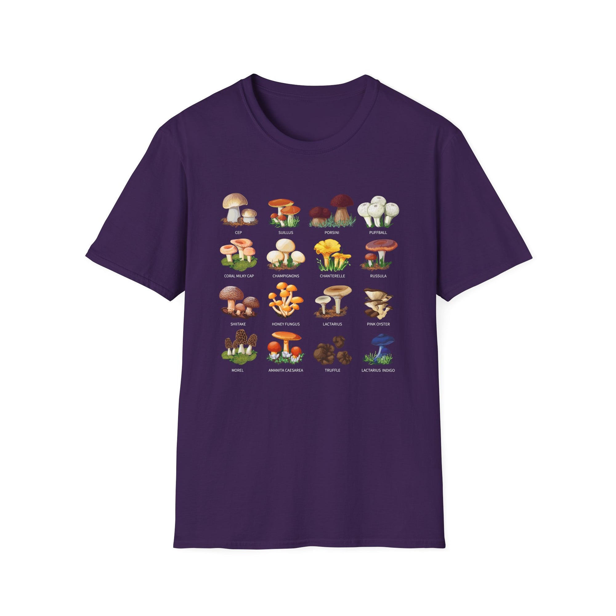 🍄📖🌿 Mushroom Types Guide