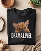🎭🙄 DRAMA LEVEL MAX