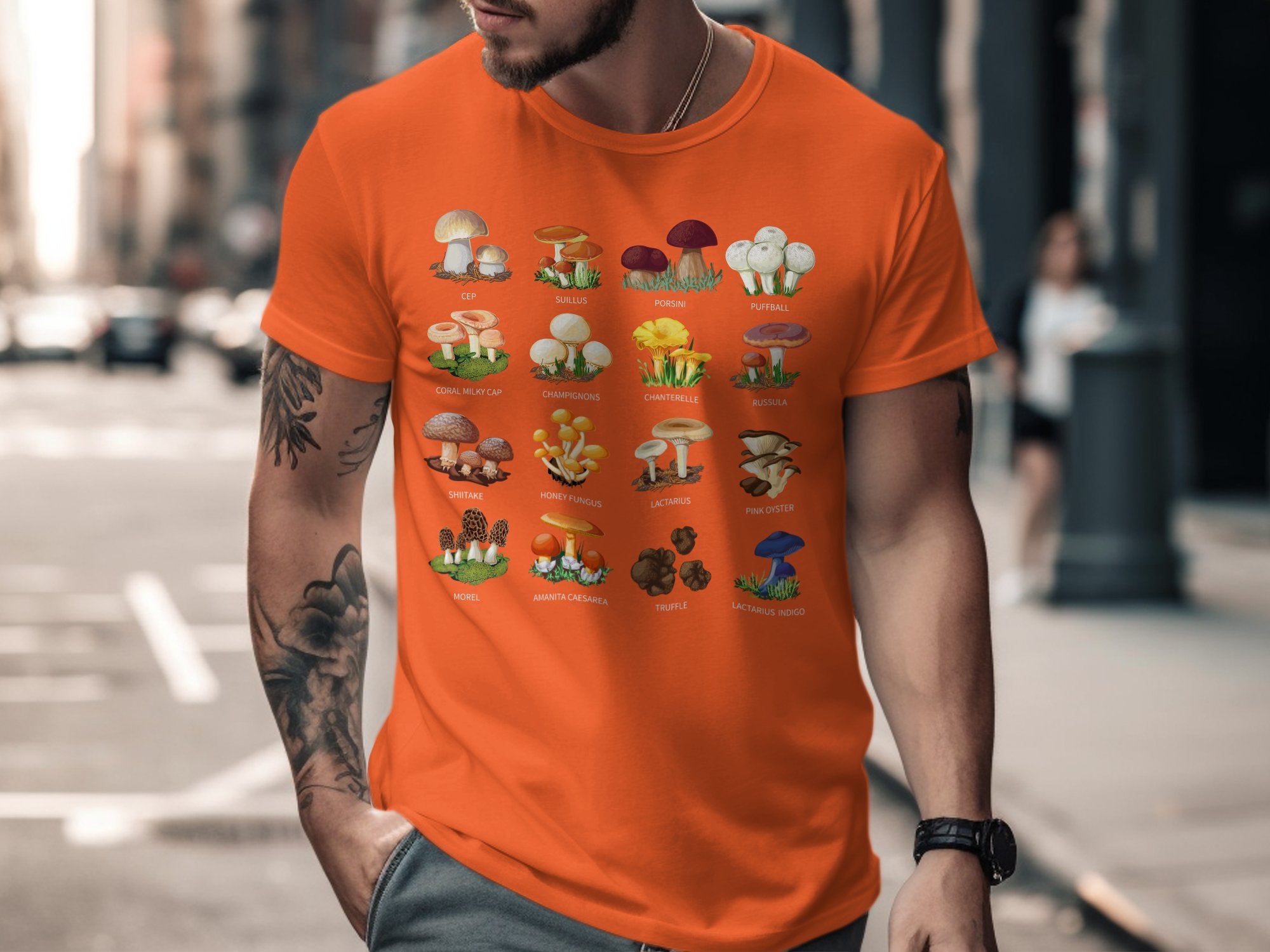 🍄📖🌿 Mushroom Types Guide