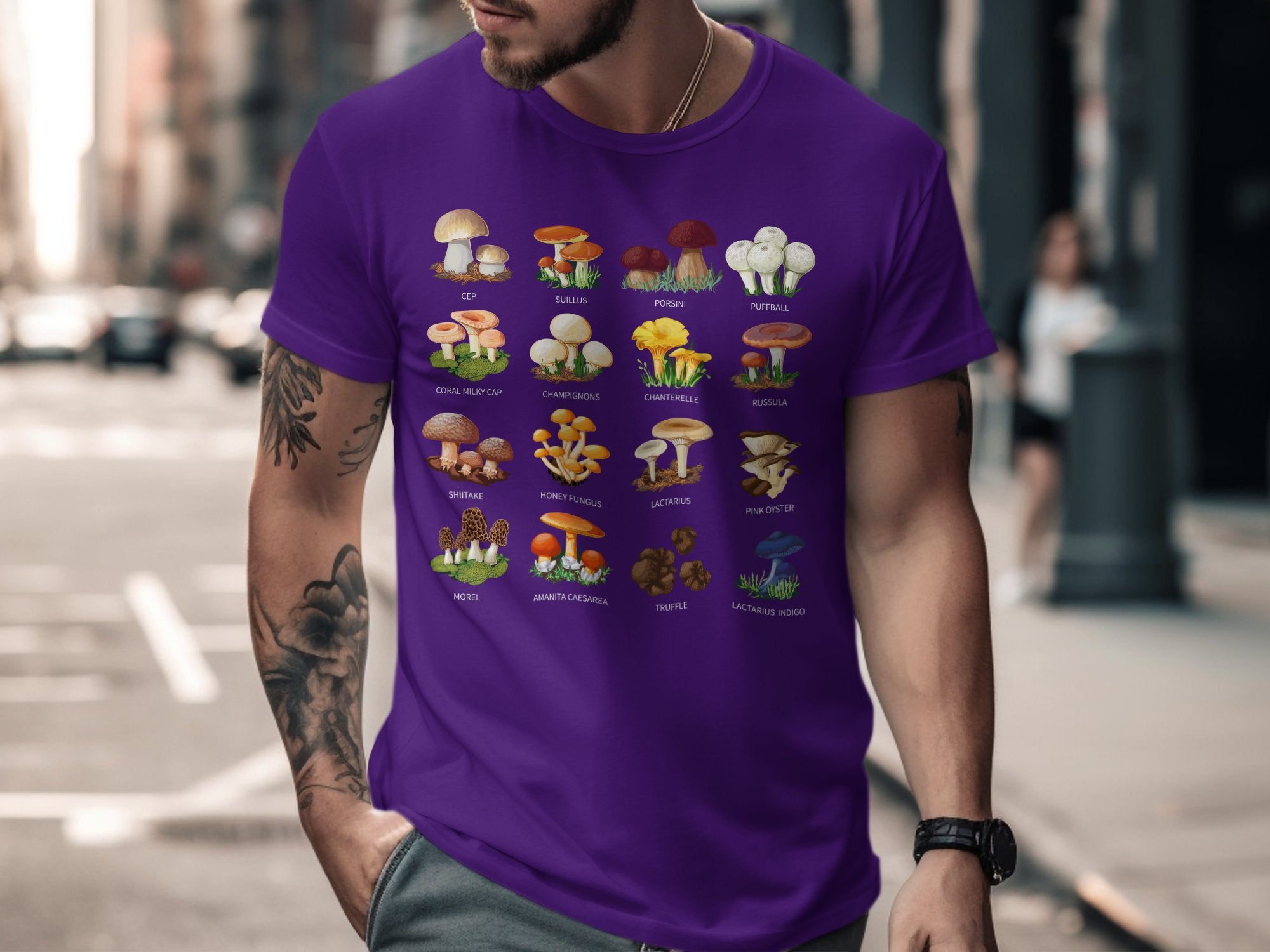 🍄📖🌿 Mushroom Types Guide