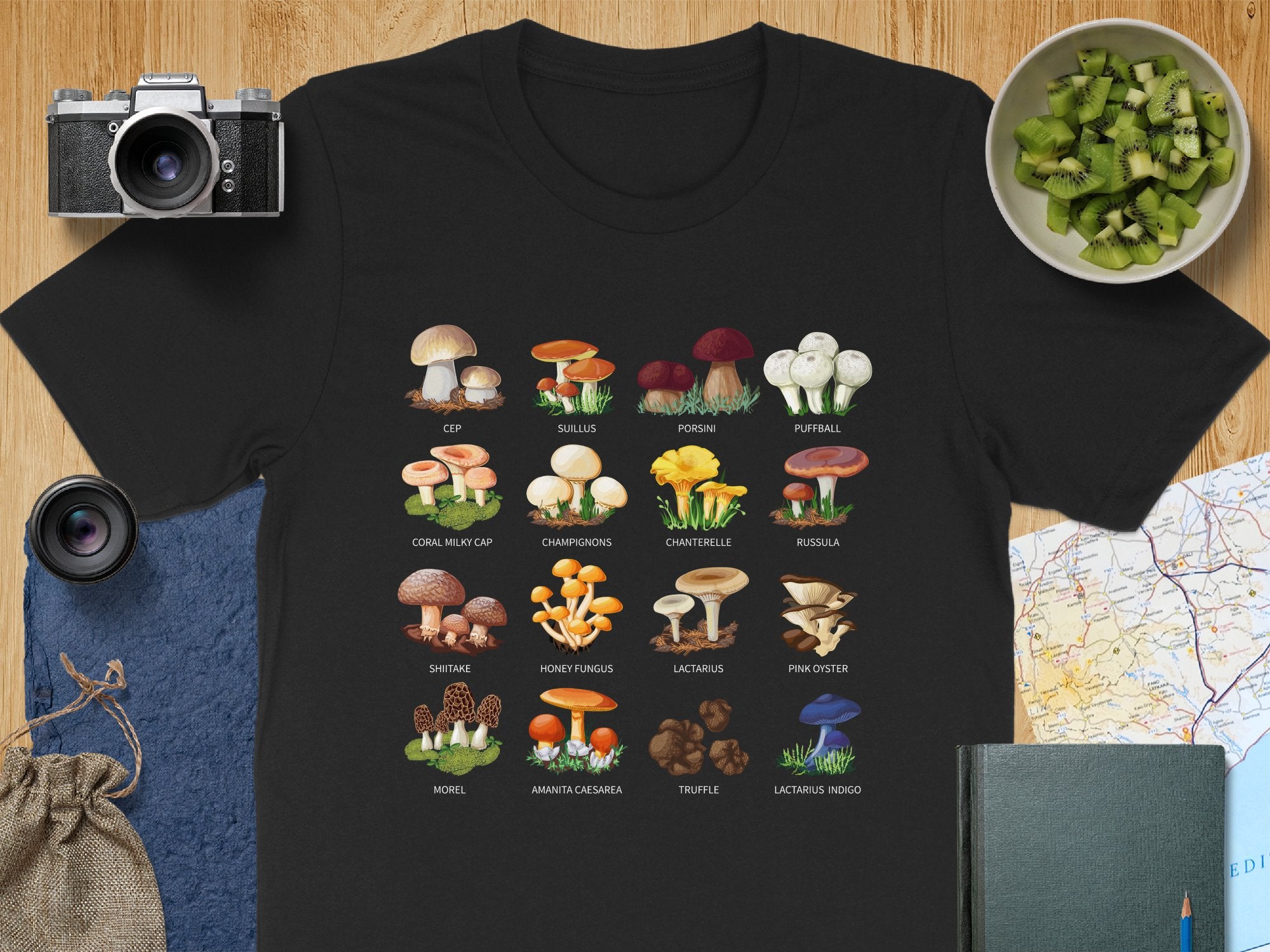 🍄📖🌿 Mushroom Types Guide