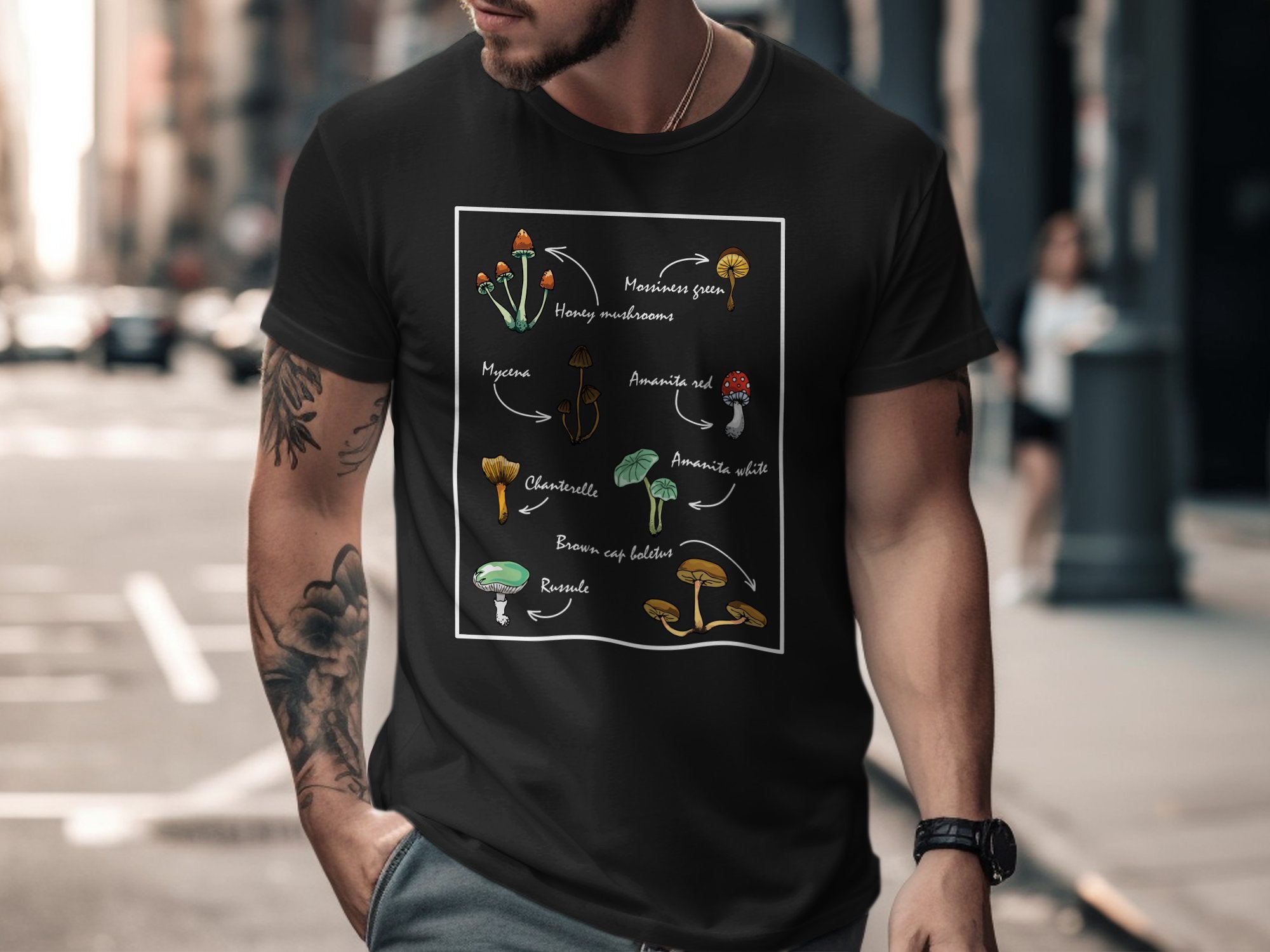 🍄📚🔍 Mushroom ID Guide