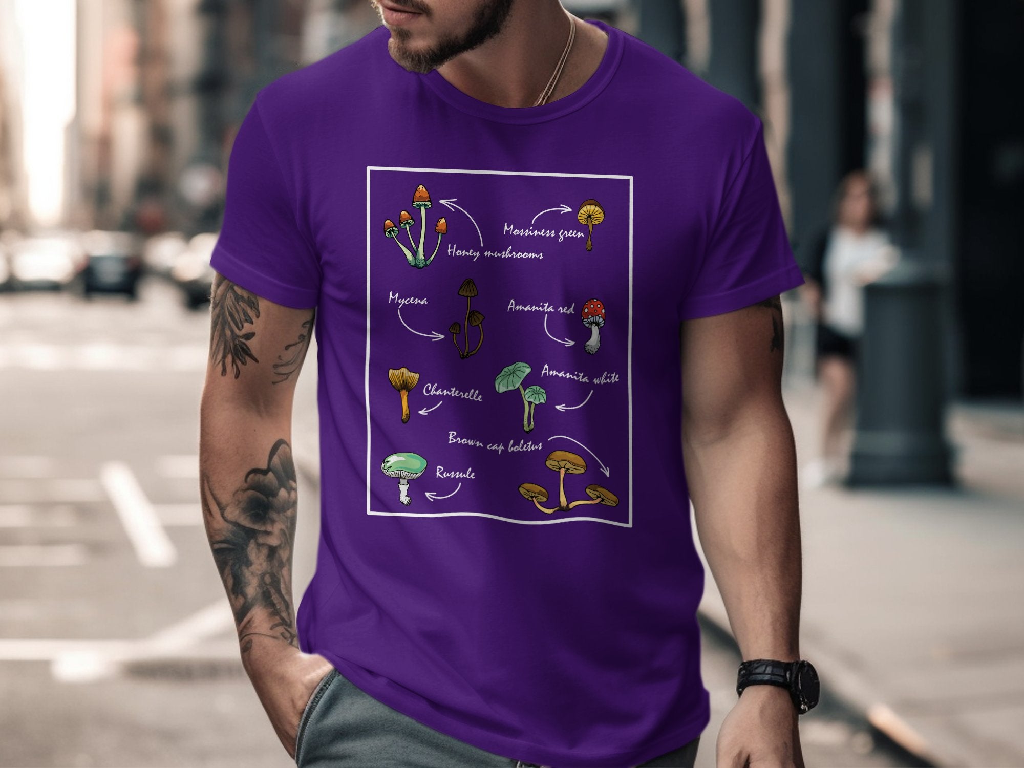 🍄📚🔍 Mushroom ID Guide