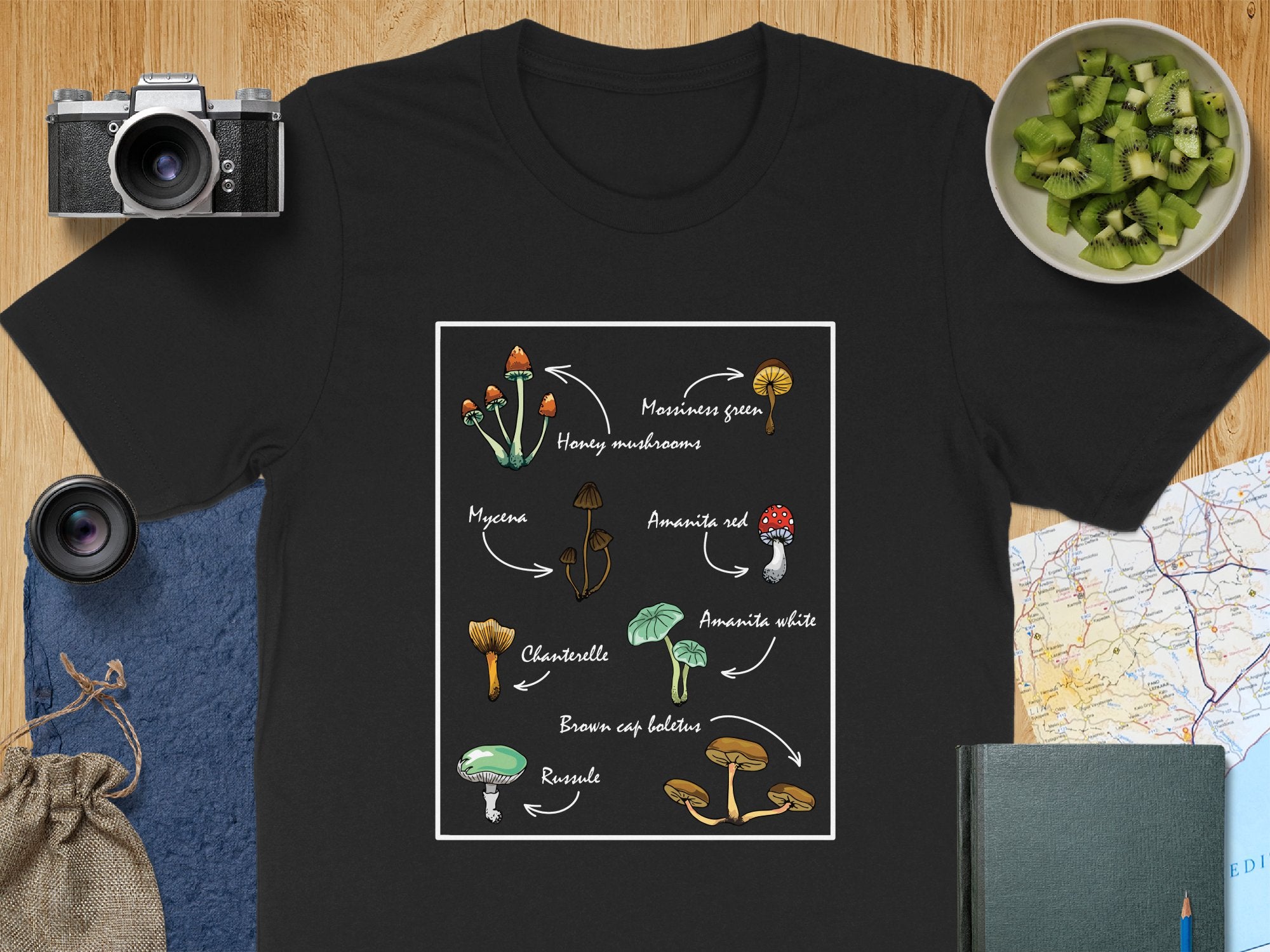 🍄📚🔍 Mushroom ID Guide