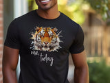 🐯🔥⚡ Me, today - TIGER