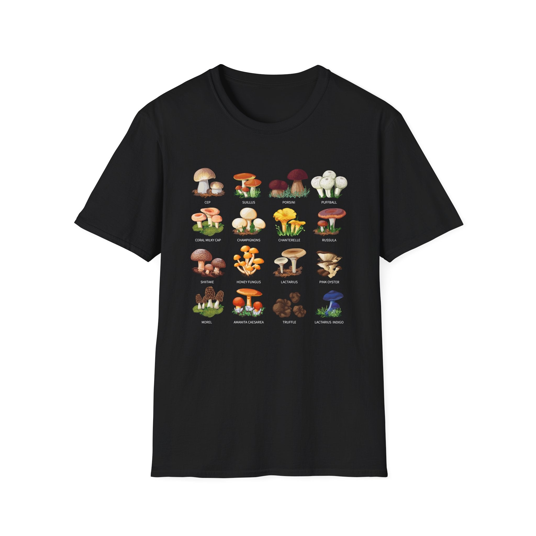 🍄📖🌿 Mushroom Types Guide